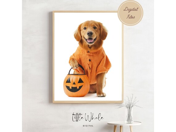 Golden Retriever in Pumpkin Costume Holding Halloween Candy Bucket Poster