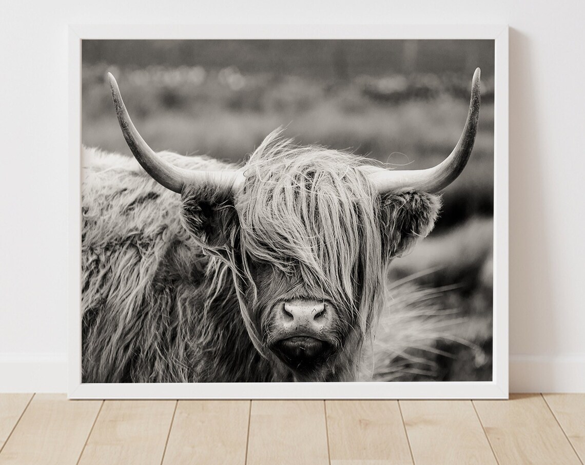 Highland Cow Print Black And White Highland Cow Wood Frame Art Highland Cow Wall Art Farm Animal Print Farm Decor Bull Print Buffal