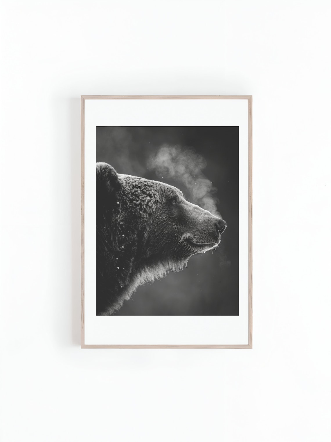 Grizzly Bear Black And White Wildlife Art Print
