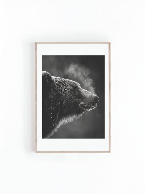 Grizzly Bear Black And White Wildlife Art Print
