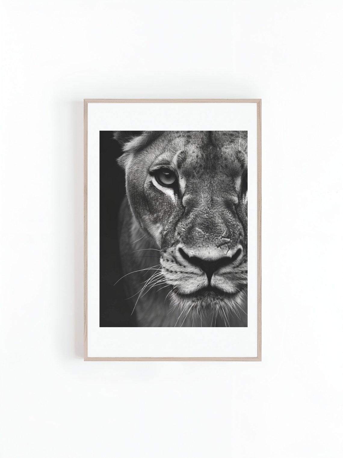Lioness Black and White Safari Photo Art Print - Image 3