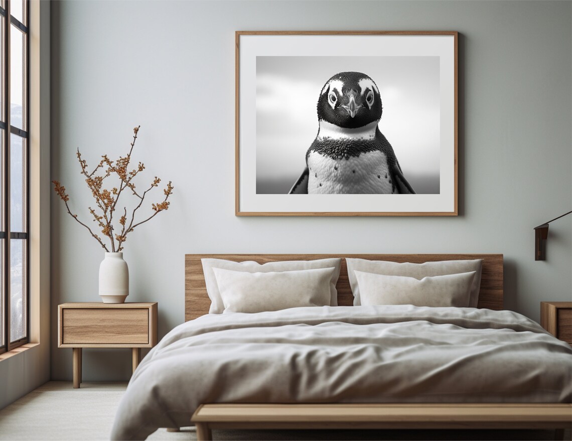 Penguin Wildlife Photo, Black And White Animal - Image 2