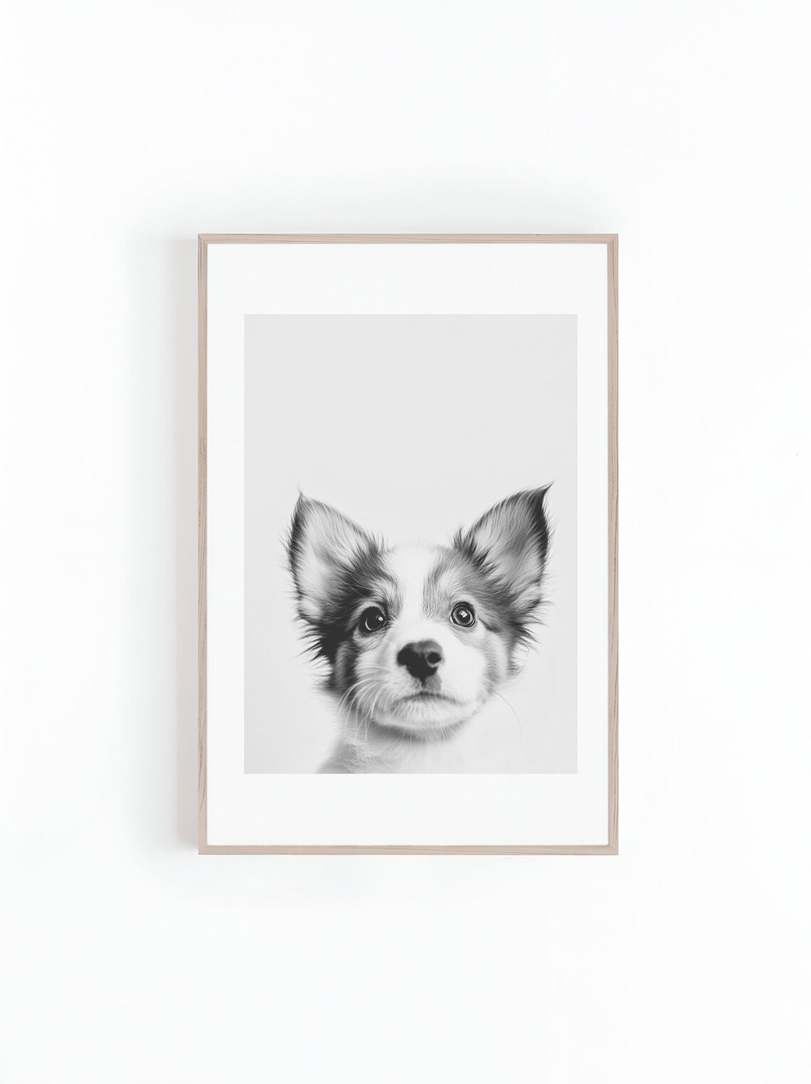 Cute Puppy Black And White Dog Photo Art Print