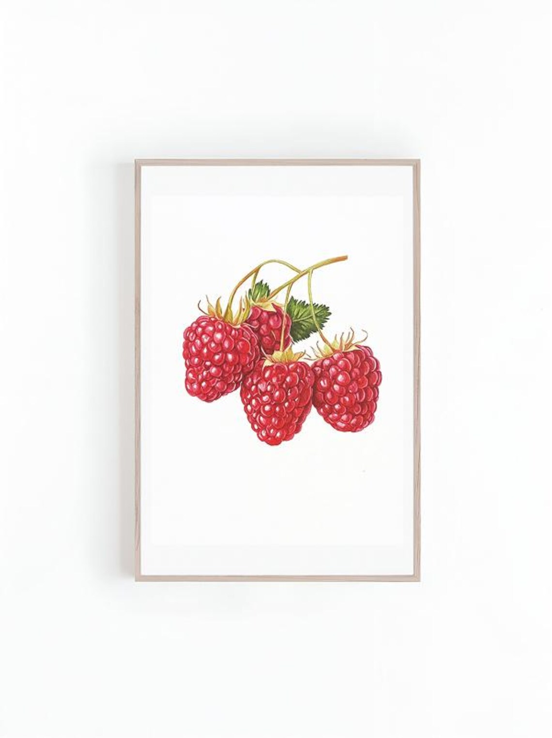 Raspberries Botanical Illustration, Kitchen Art Print