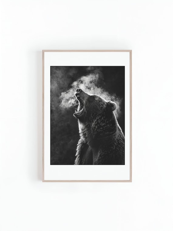 Grizzly Bear Photo, Black and White Wildlife