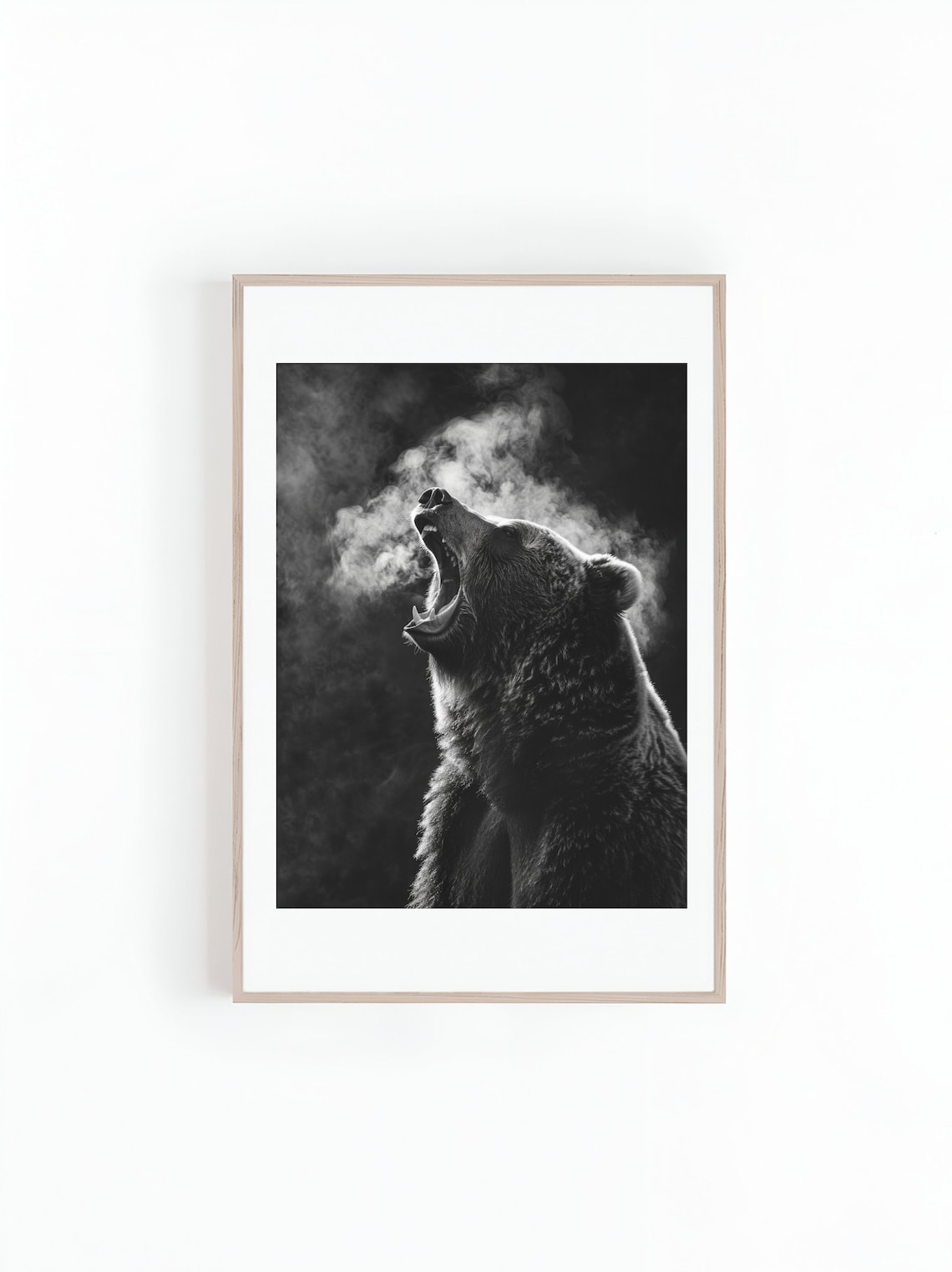 Grizzly Bear Photo, Black and White Wildlife