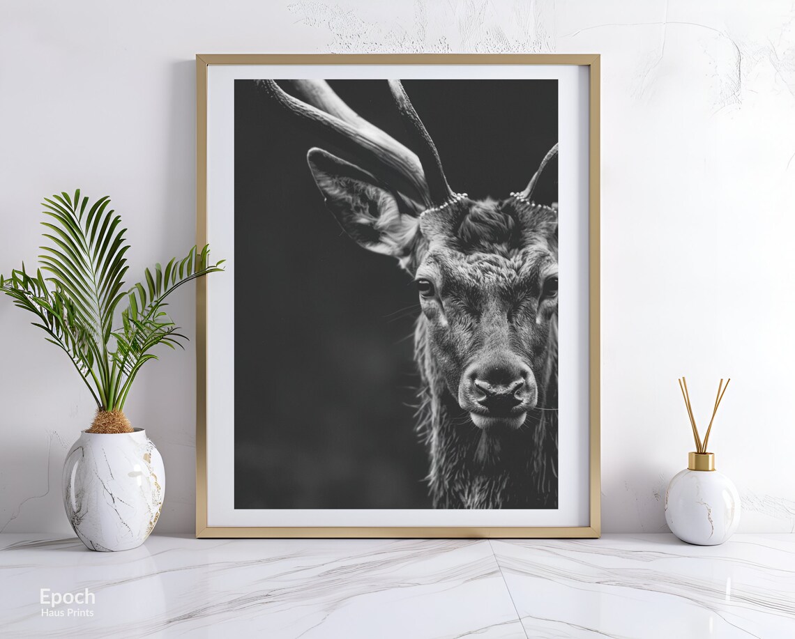 Red Stag With Large Antlers Dark Moody Portrait Photo Poster - Image 3
