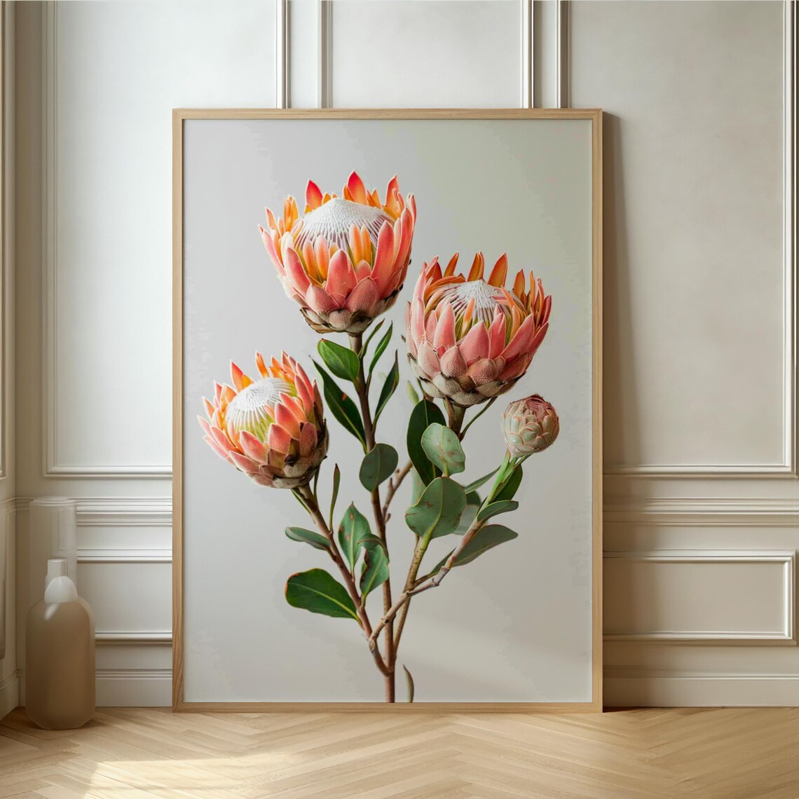 Pink King Protea Stems On White Minimalist Botanical Art Print