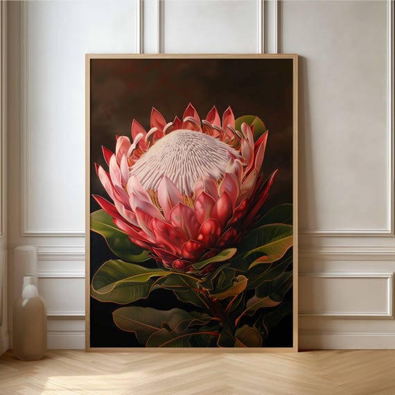 Protea Flower Botanical Art Print, Home Wall Decor