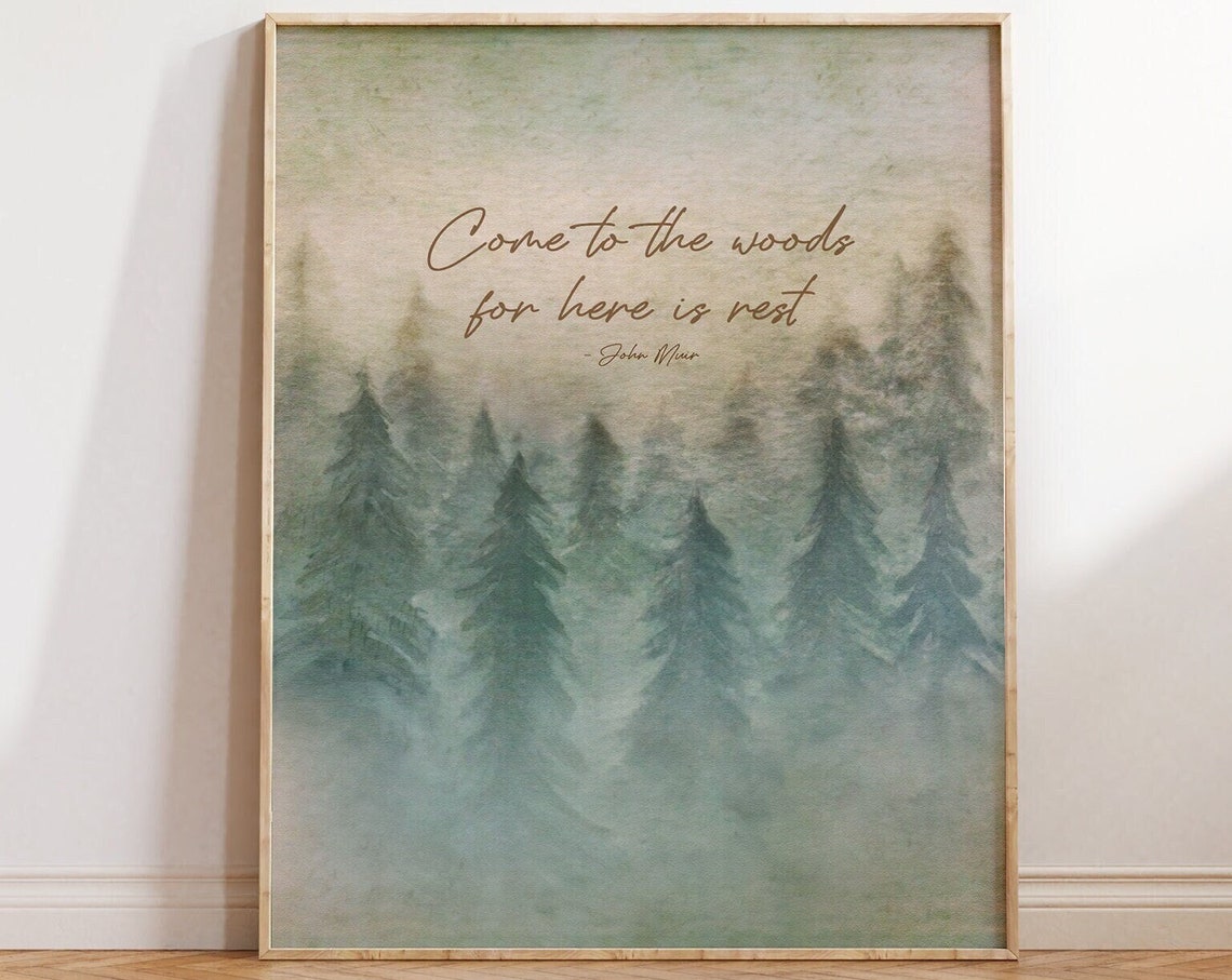 John Muir Come To The Woods Here Is Rest Misty Pine Forest Quote Print