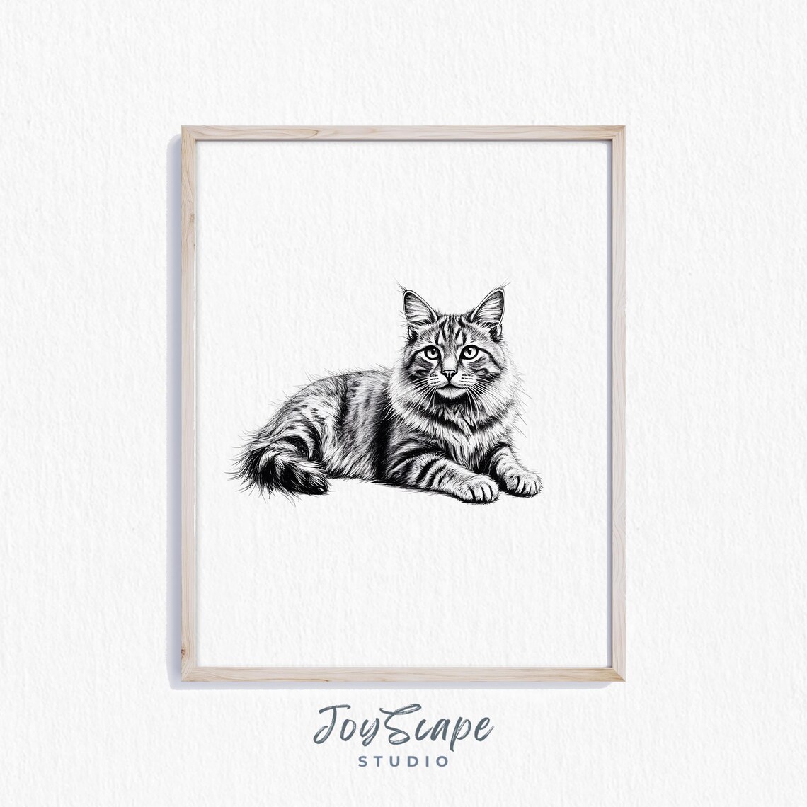 Maine Coon Cat Sketch Rustic Animal Art Print