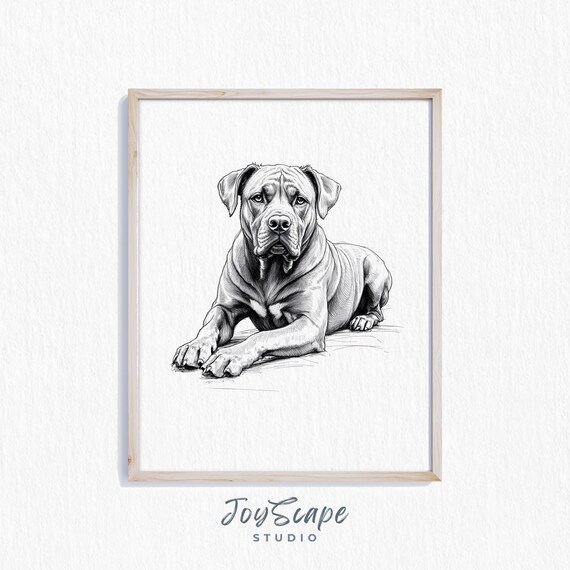 Cane Corso Wall Art Rustic Dog Illustration Black And White Pet Decor Elegant Animal Portrait Print
