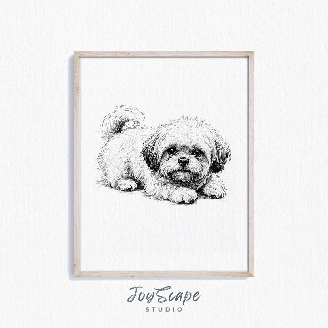 Shih Tzu Dog Art Print, Black and White Sketch