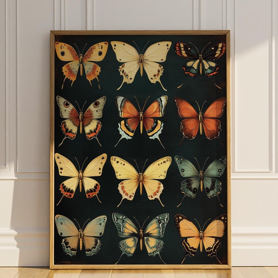 Butterfly Wall Art Butterflies Moths Insect Entomology Dark Academia Artwork Vintage Wall Decor Gift Idea
