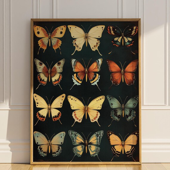 Twelve Butterfly Specimen Grid Moody Vintage Insect Collection Poster