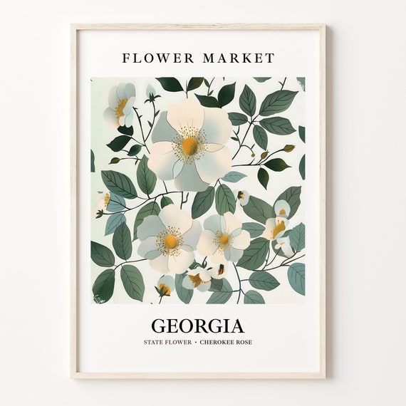 Georgia Cherokee Rose 1960s Botanical Art Print