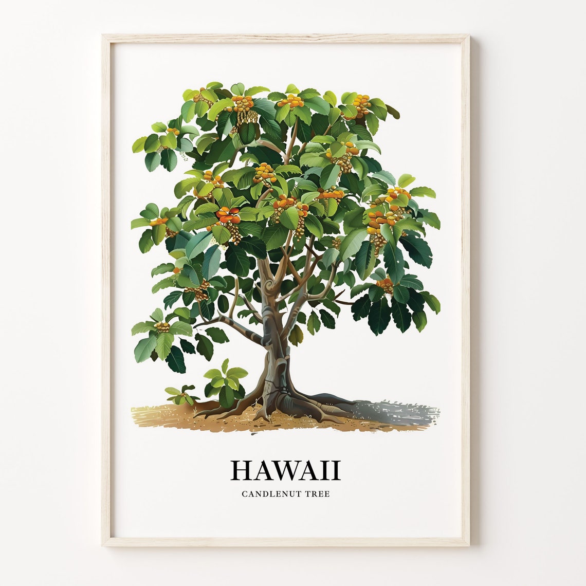 Hawaii Candlenut Tree State Tree Tropical Botanical Art Poster