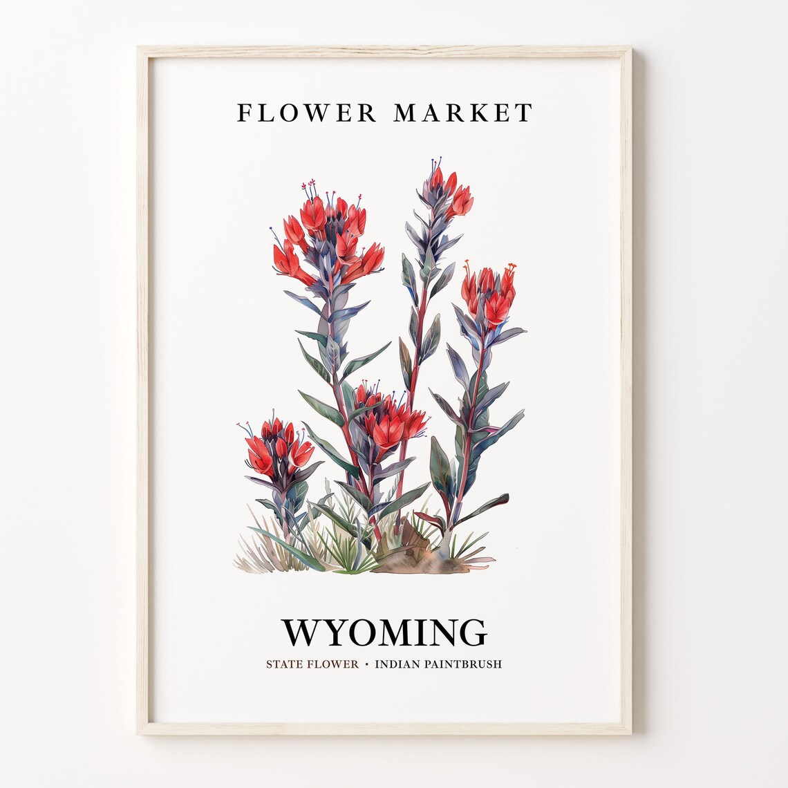 Wyoming Indian Paintbrush 1960s Botanical Art Print