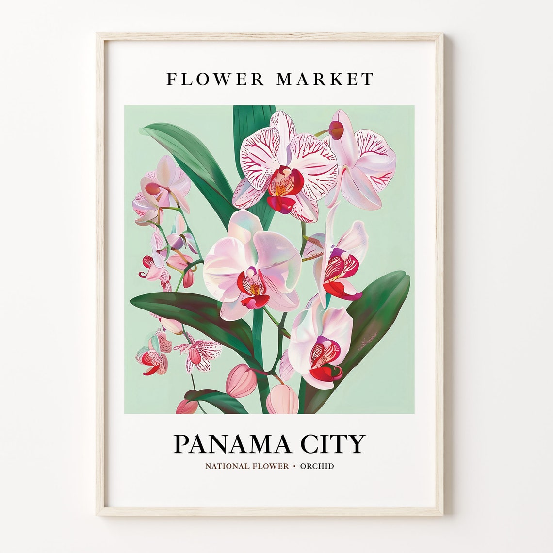 Panama City Orchid National Flower Market Botanical Art Poster