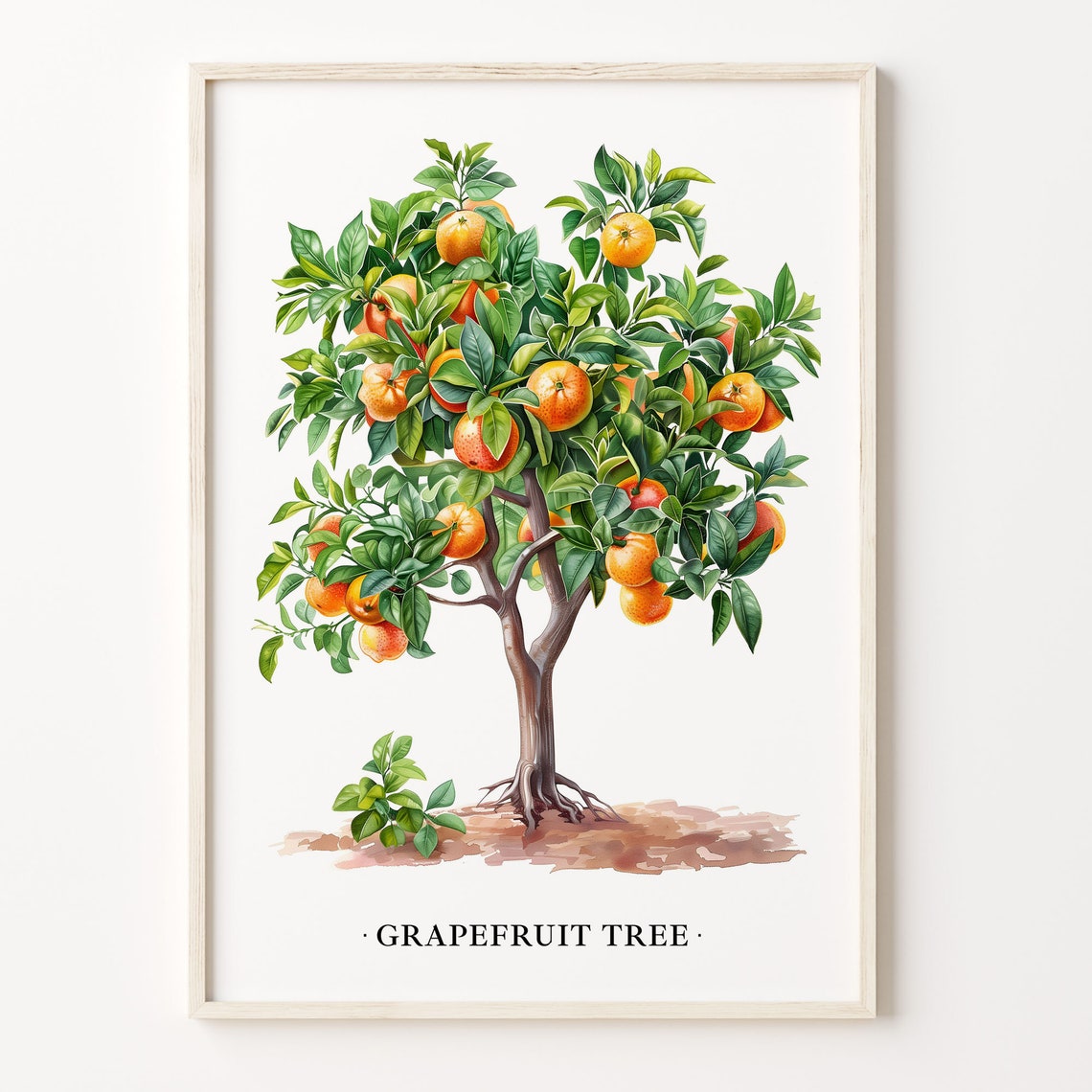 Grapefruit Tree Botanical Watercolor Citrus Fruit Decor Poster