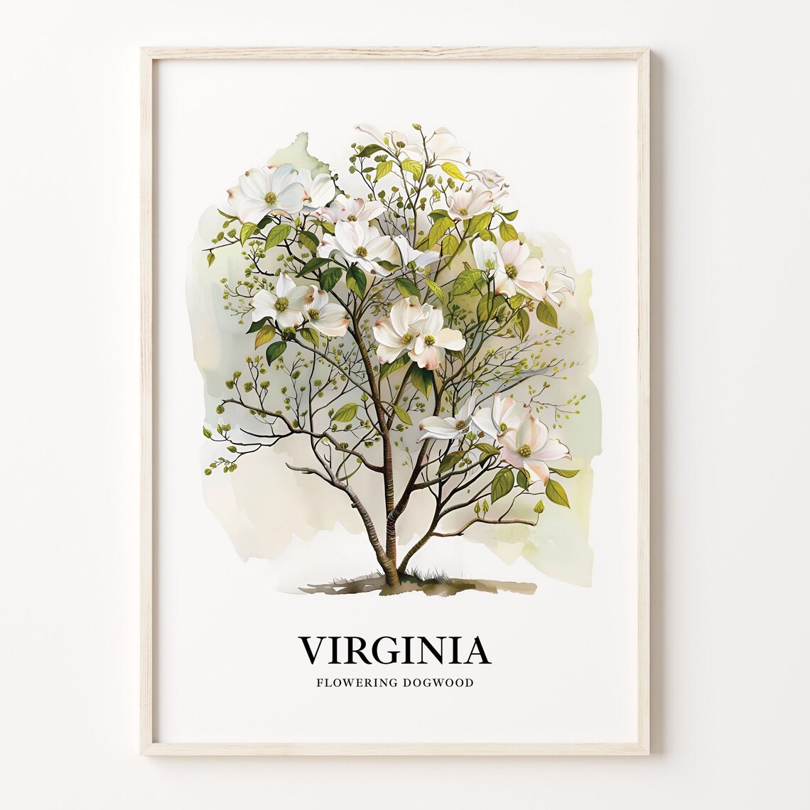 Virginia Flowering Dogwood Watercolor Tree Illustration Poster