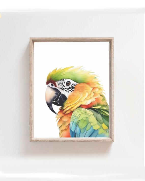 Colorful Macaw Parrot Watercolor Tropical Bird Animal Art Poster