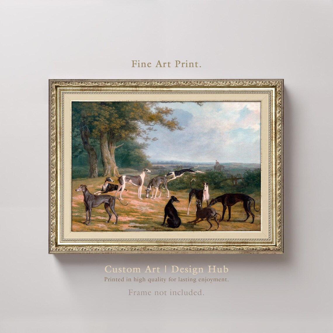 Pack Of Greyhounds Vintage Hunting Dogs Sporting Art Wall Print