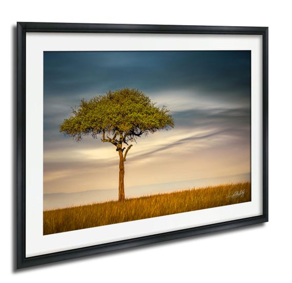 Umbrella Thorn Acacia Print Kenyan Safari Landscape Artist Signed