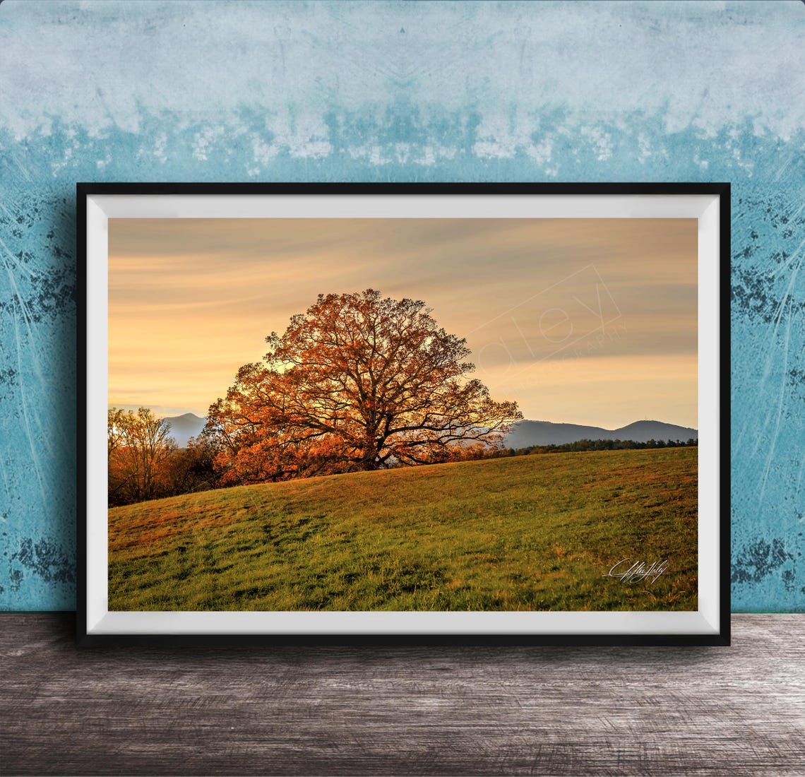Biltmore Estate Sunset Tree Photo Autumn Landscape Blue Ridge Mountains