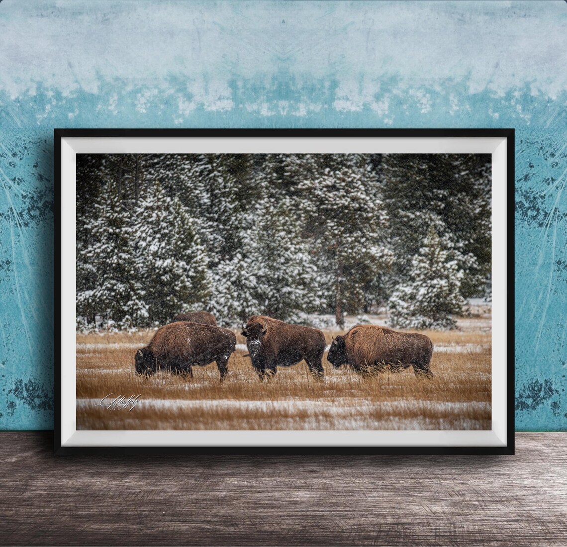 Bison Winter Landscape Art Snowy Wildlife Scene On Canvas