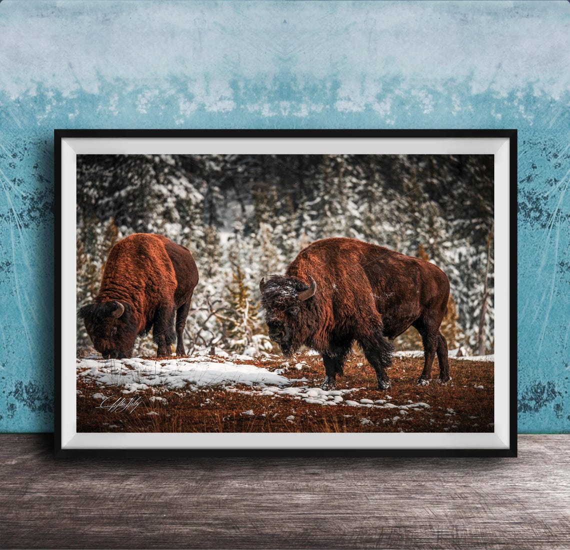 Two Bison Snowy Winter Field Rustic Wildlife Photography Wall Art