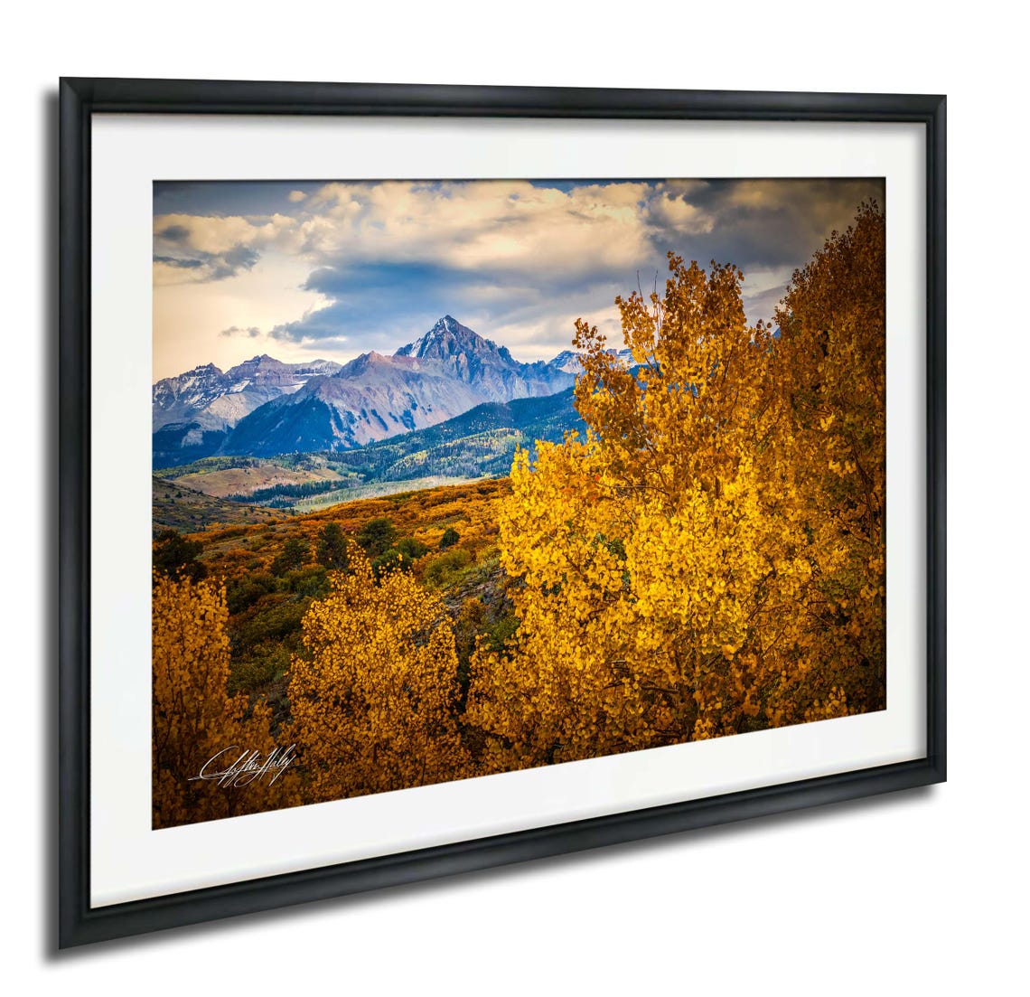 Scenic Rocky Mountain Golden Aspen Grove Autumn Landscape Poster