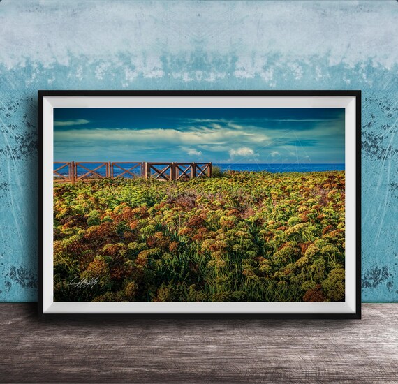Wildflower Meadow By The Sea Blue Sky Coastal Landscape Photography Poster