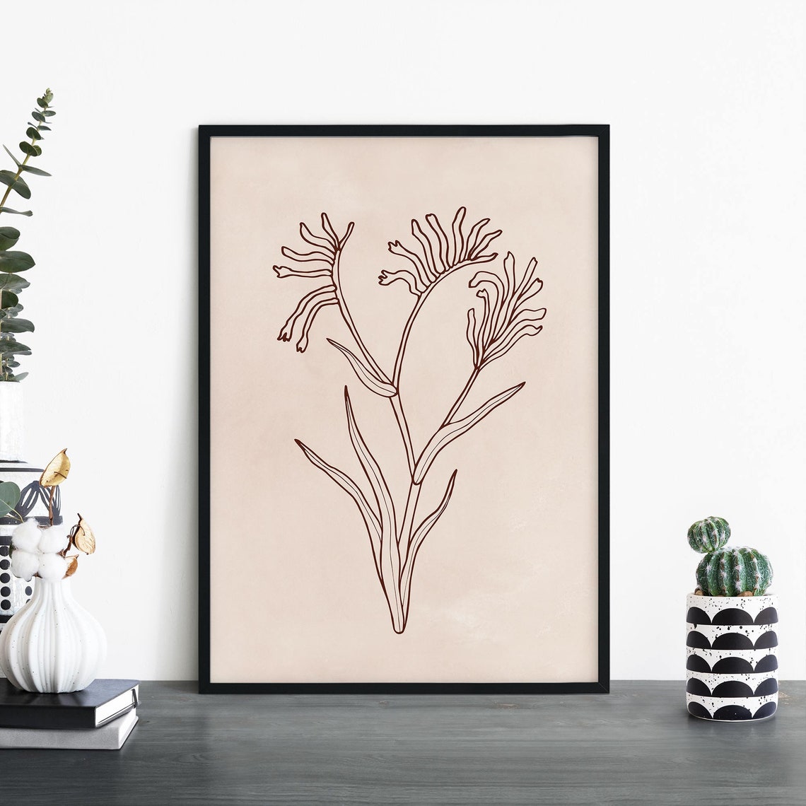 Kangaroo Paw Australian Native Floral Line Illustration Poster