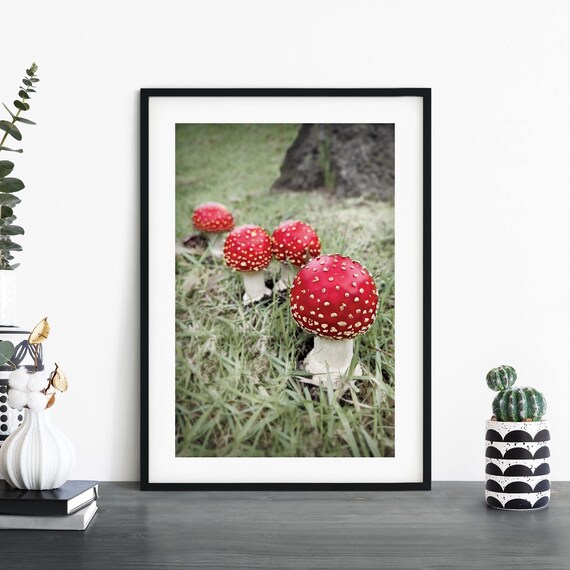 Vibrant Red Fly Agaric Mushrooms in Green Grass Nature Photo Poster