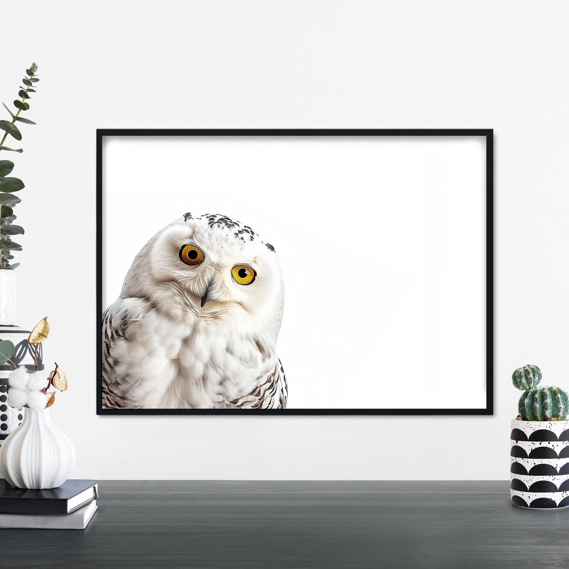 Snowy Owl Portrait On White Background Wildlife Photo Poster