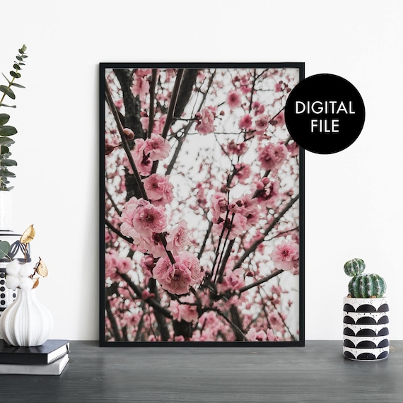 Pink Cherry Blossom Close-Up Spring Floral Photography Poster