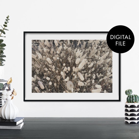 Tall Bunny Tail Grass Print Wall Art At Home File
