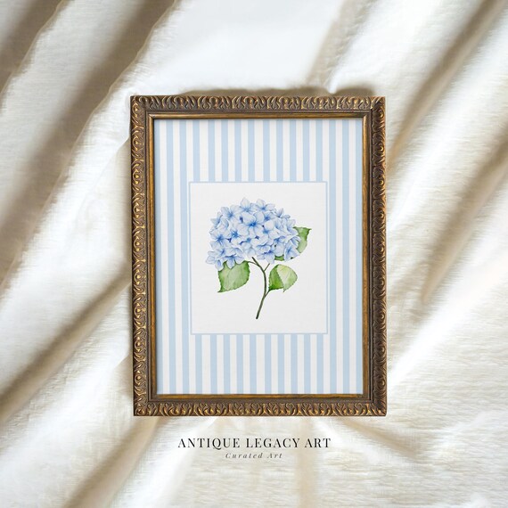 Blue Hydrangea Watercolor on Blue Stripe Vintage Botanical Poster