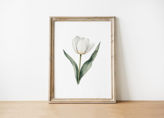 Botanical Flower Art Print White Tulip Watercolor Illustration Minimalist Floral Wall Decor Instant