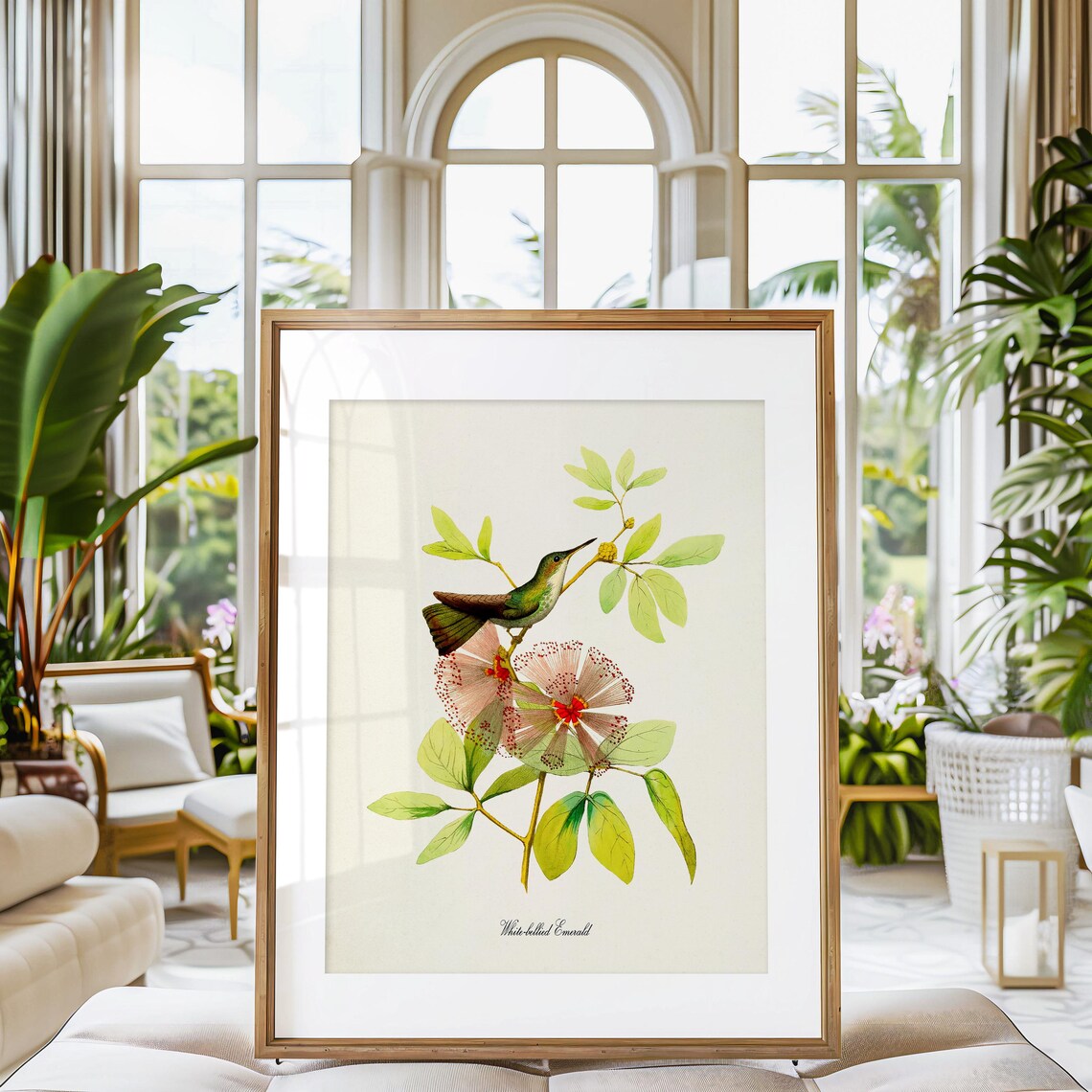 White Bellied Emerald Hummingbird Garden Art Print - Image 3
