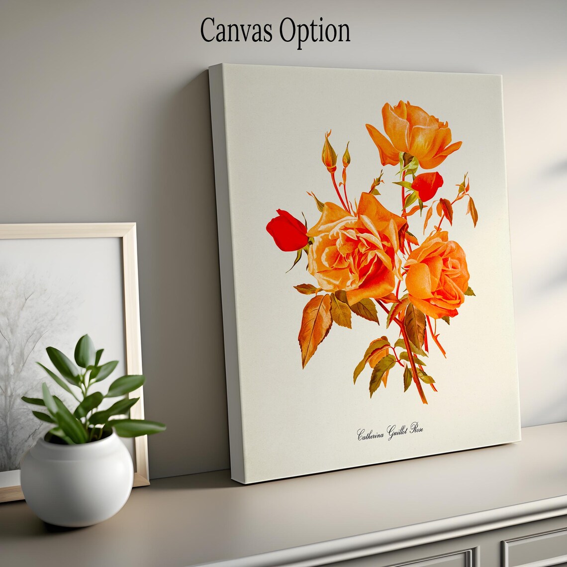 Catherina Guillot Rose Flower Botanical Art Print - Image 2