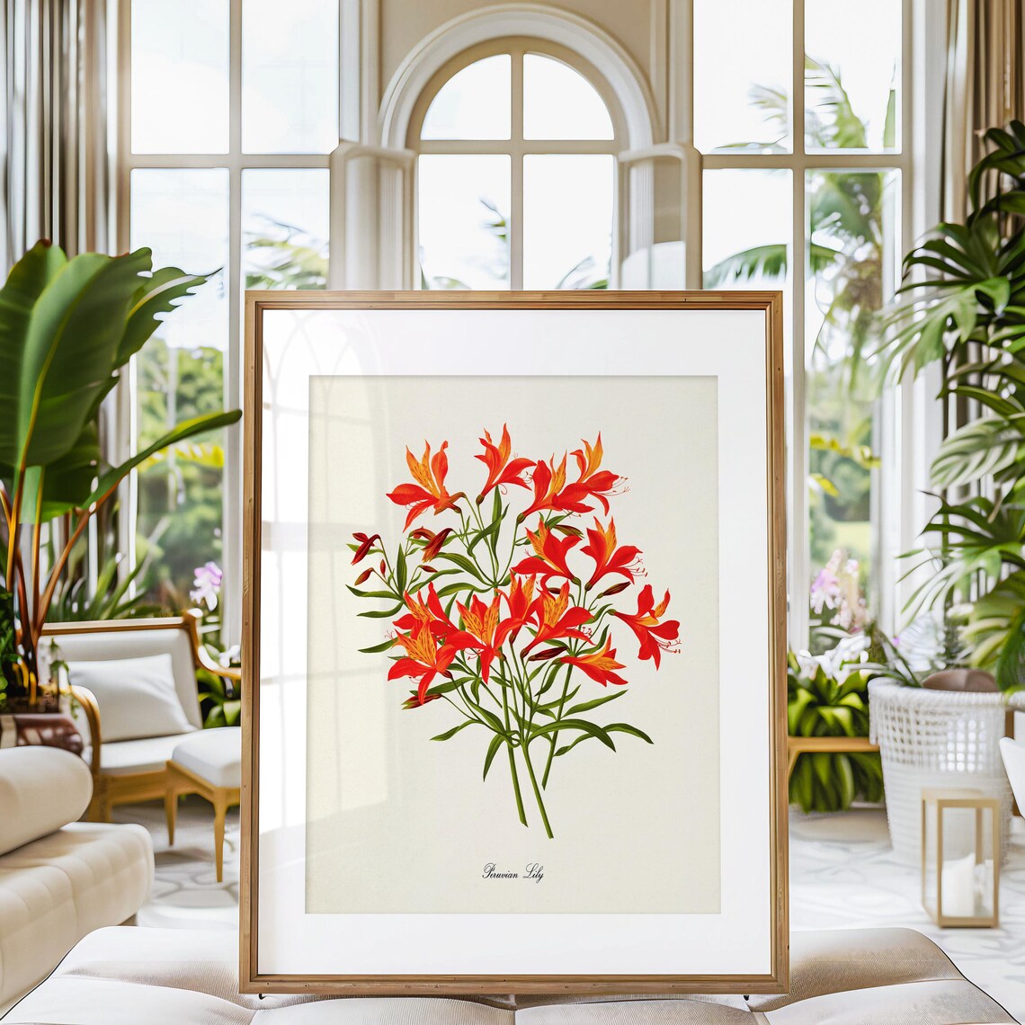 Peruvian Lily Botanical Art Print, Orange Floral - Image 3