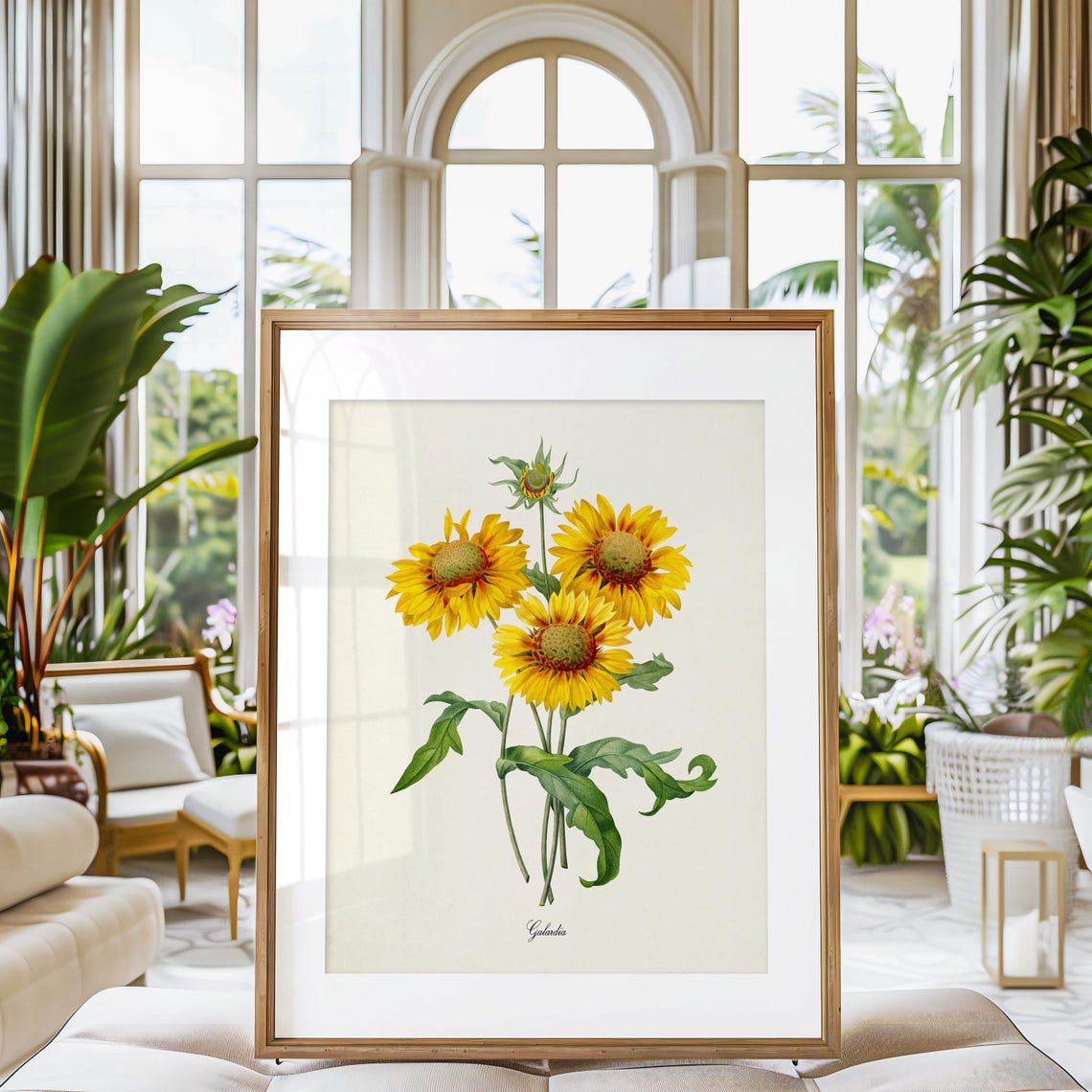 Gaillardia Blanket Flower Vintage Botanical Illustration Wall Poster - Image 3