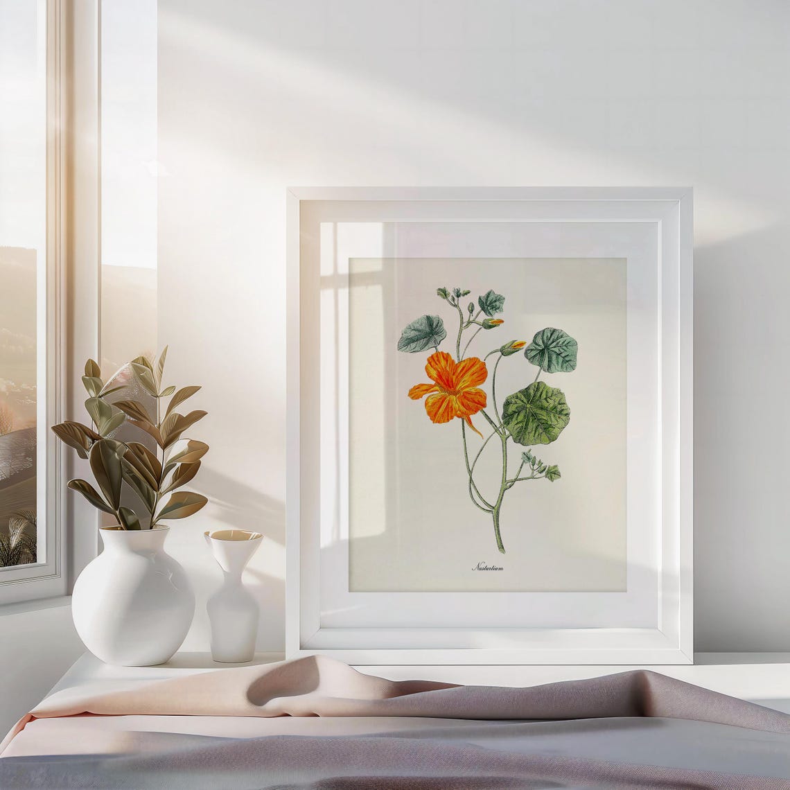 Vibrant Orange Nasturtium Bloom Round Leaf Vintage Botanical Poster - Image 3