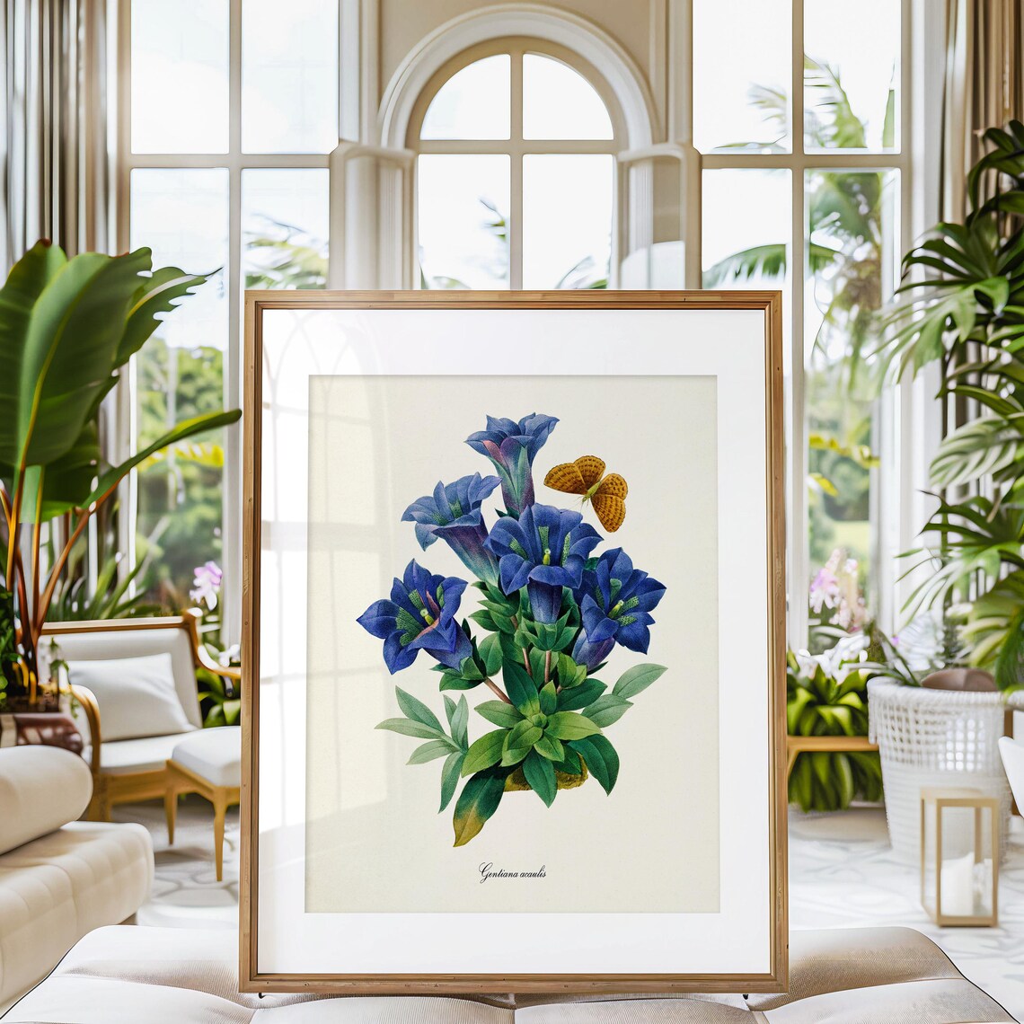 Stemless Gentian and Butterfly Botanical Art Print, Redoute - Image 3