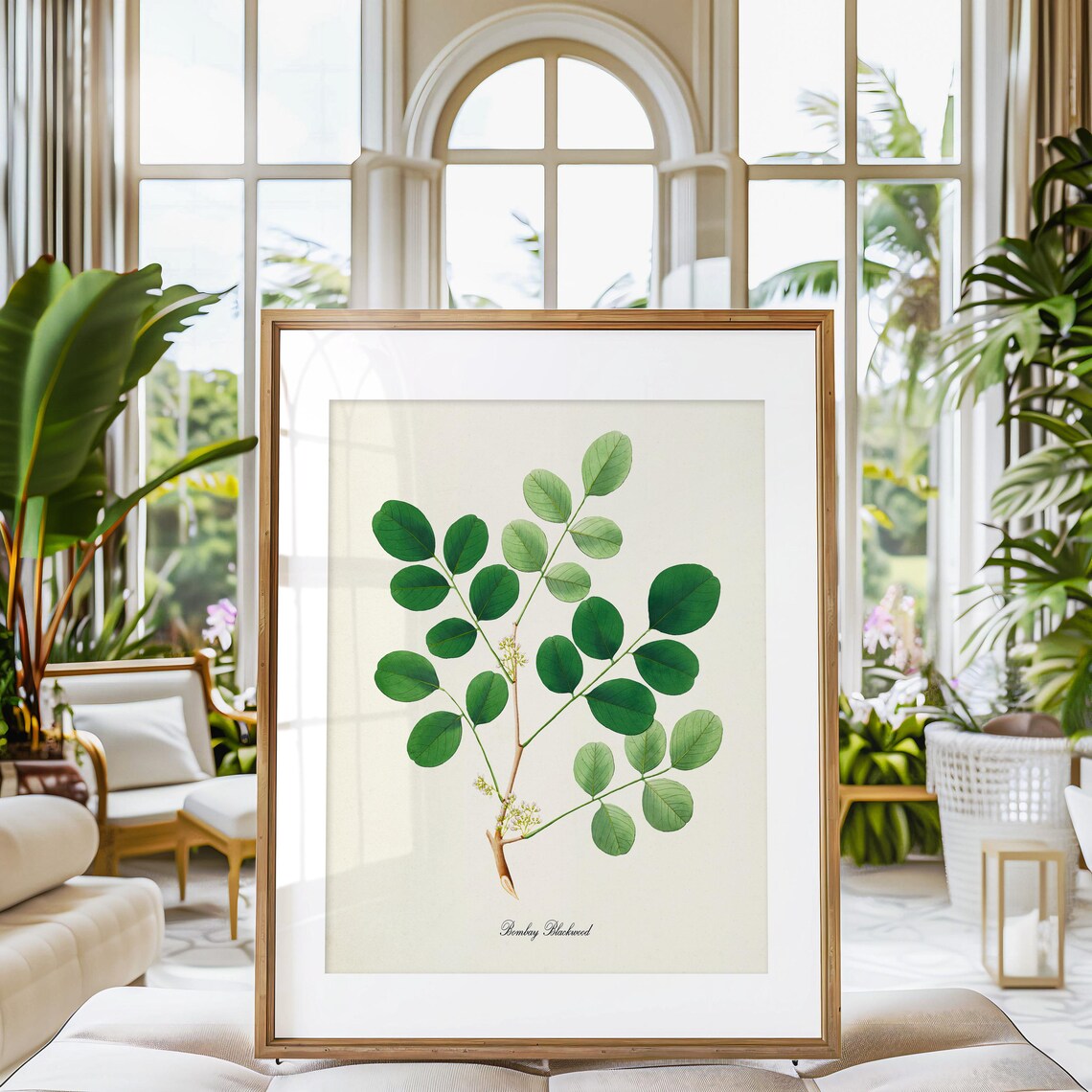 Bombay Blackwood Botanical Art Print, Green Leaf - Image 3
