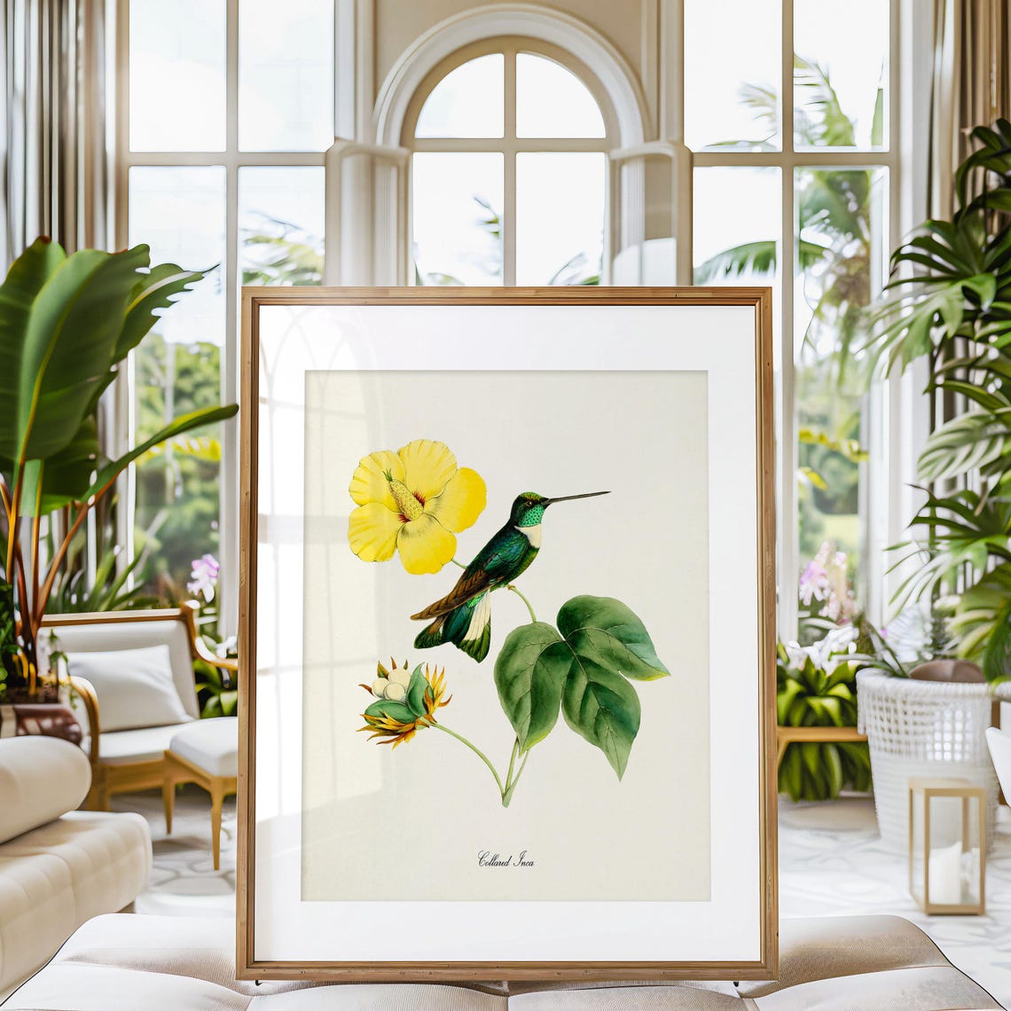 Collared Inca Hummingbird Yellow Hibiscus Vintage Nature Art Poster - Image 3