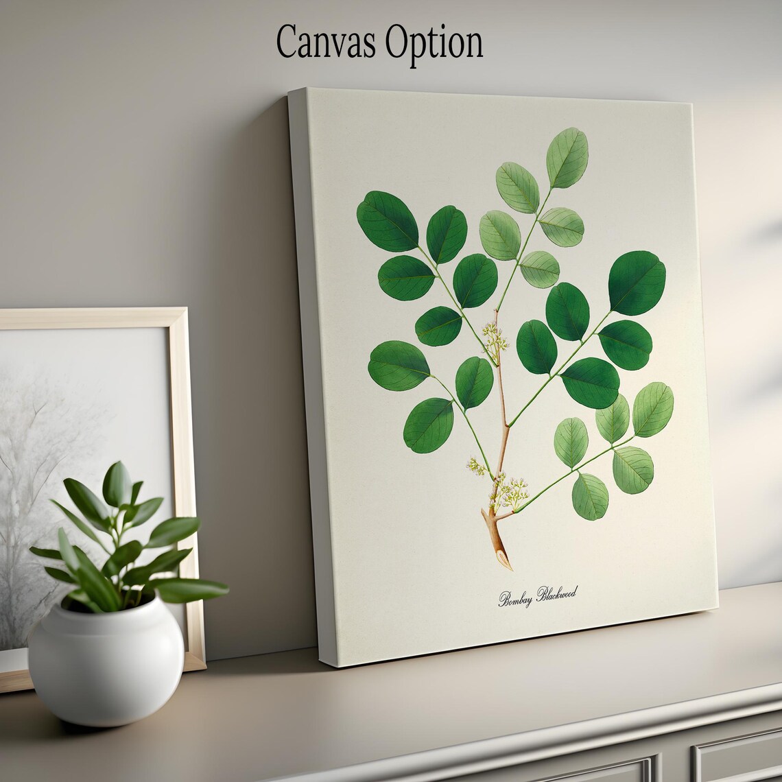 Bombay Blackwood Botanical Art Print, Green Leaf - Image 2