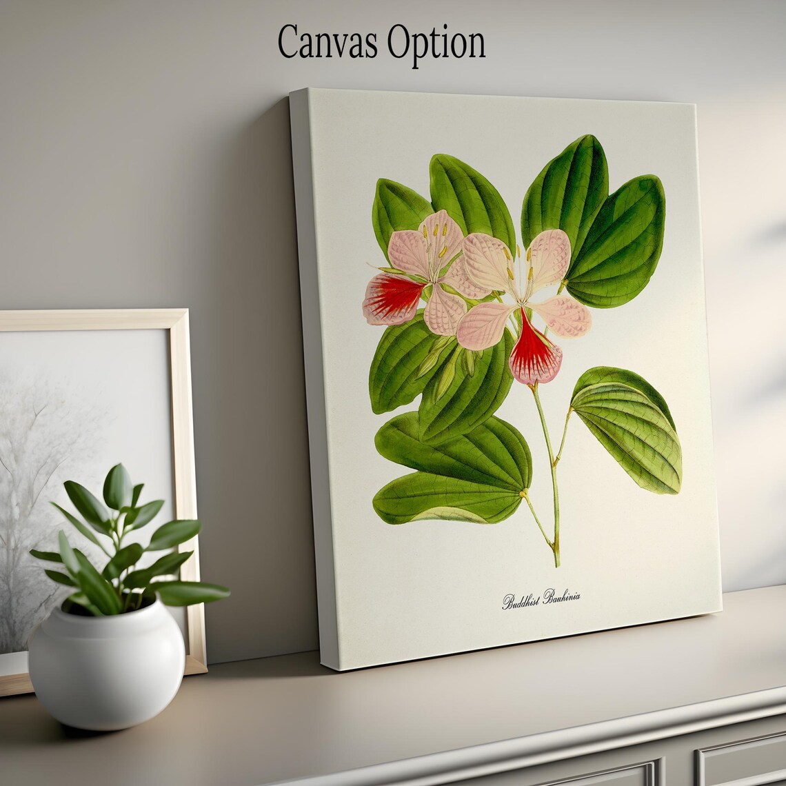 Buddhist Bauhinia Flower Botanical Art Poster - Image 2